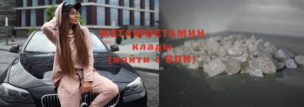 индика Белая Холуница