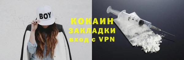 индика Белая Холуница