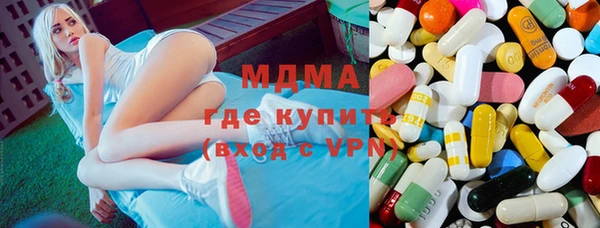 индика Белая Холуница