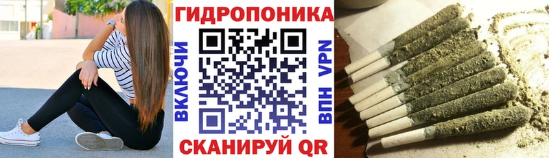 купить закладку  omg   МАРИХУАНА VHQ  Кемь 